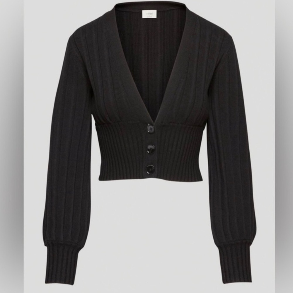 Aritzia Balloon Sleeve Sweater